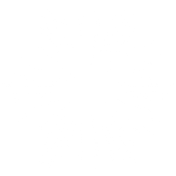 Snow Flakes PNG Free Download 45