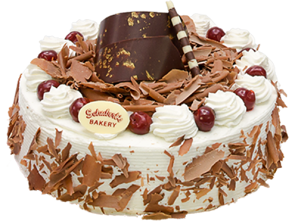 special cake free png download (2)
