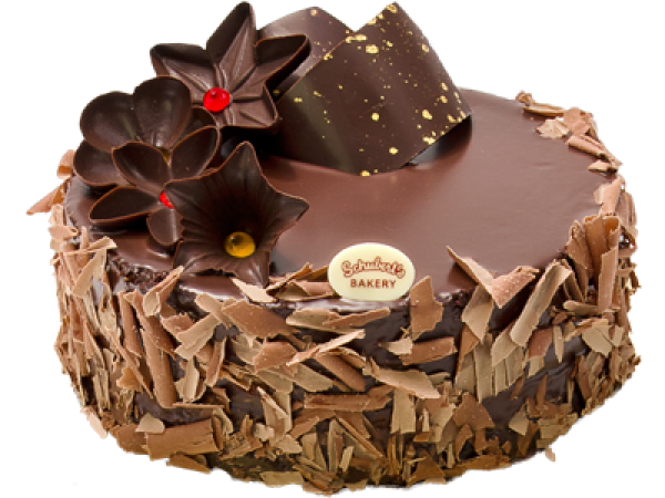 special cake free png download (3)