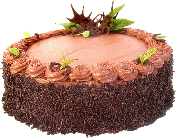 special cake free png download (4)