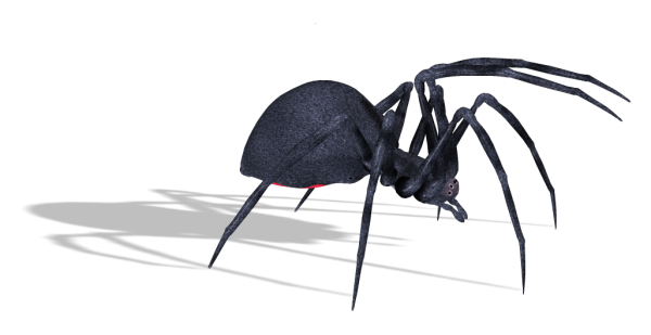 Spider PNG Free Download 19