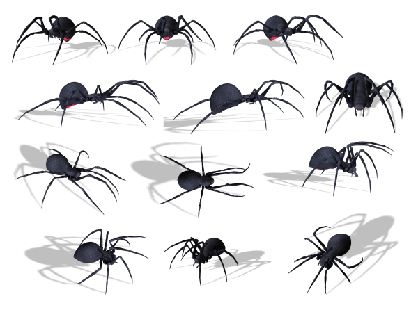 Spider PNG Free Download 24