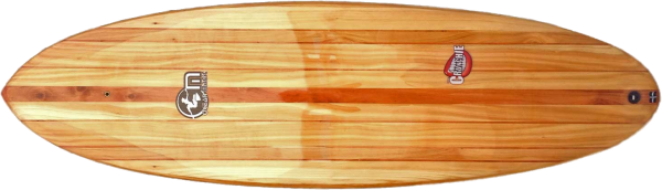 Surfing PNG Free Download 22
