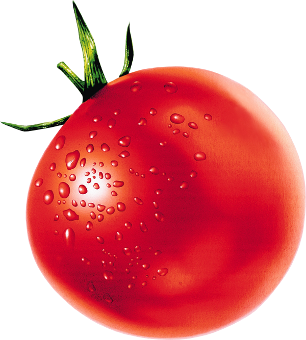 Tomato PNG Free Download 3