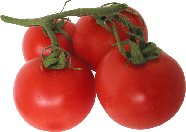 Tomato PNG Free Download 32