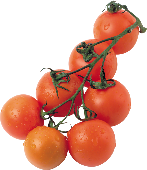 Tomato PNG Free Download 35