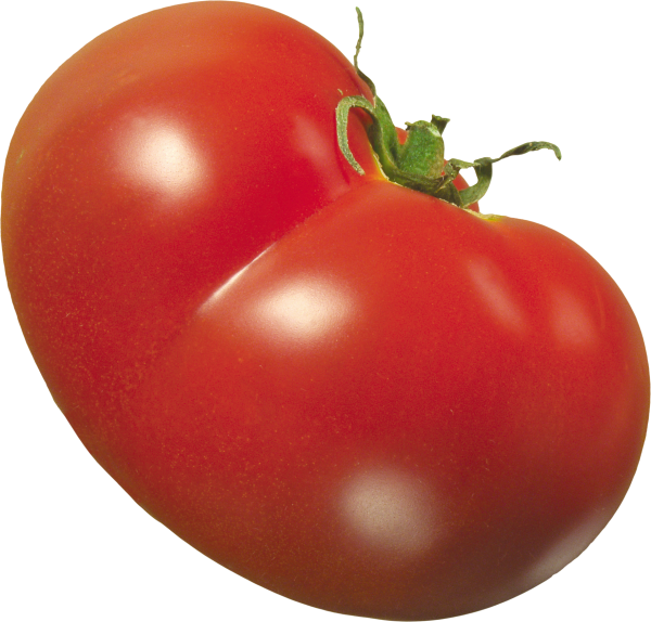 Tomato PNG Free Download 37