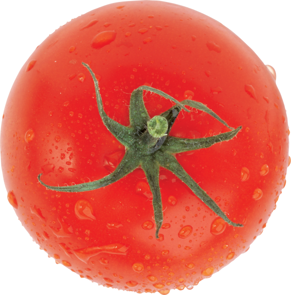 Tomato PNG Free Download 44