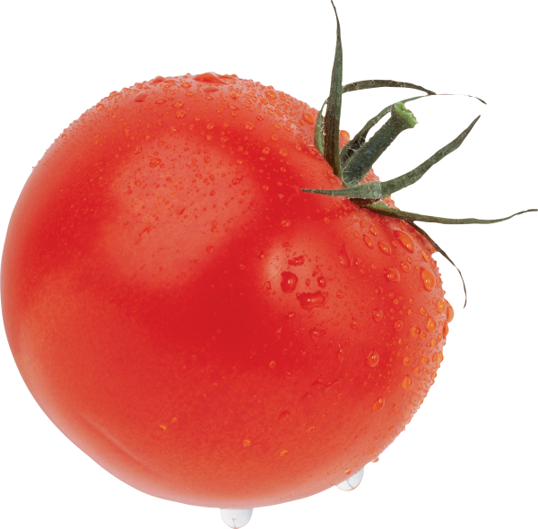 Tomato PNG Free Download 48