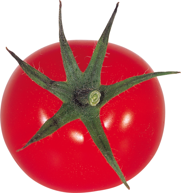 Tomato PNG Free Download 64