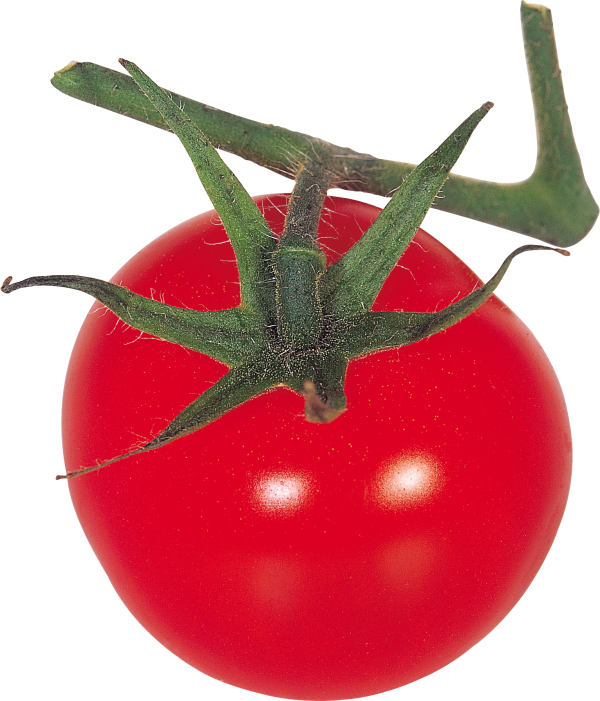 Tomato PNG Free Download 65