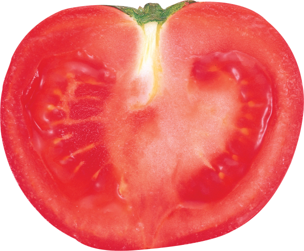 Tomato PNG Free Download 66