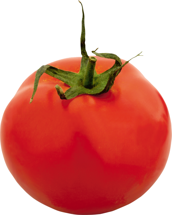 Tomato PNG Free Download 67