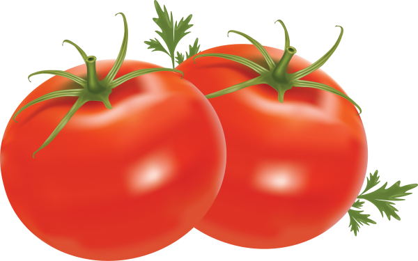 Tomato PNG Free Download 78