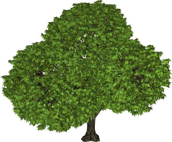 Tree Clipart