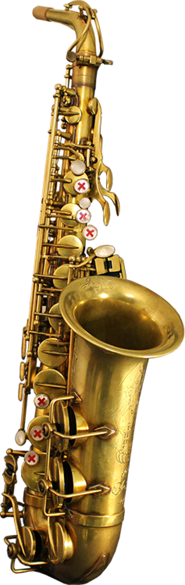 Trumpet PNG Free Download 12
