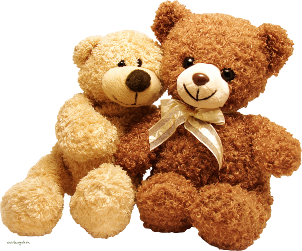 Two Cute Png Teddy Bears