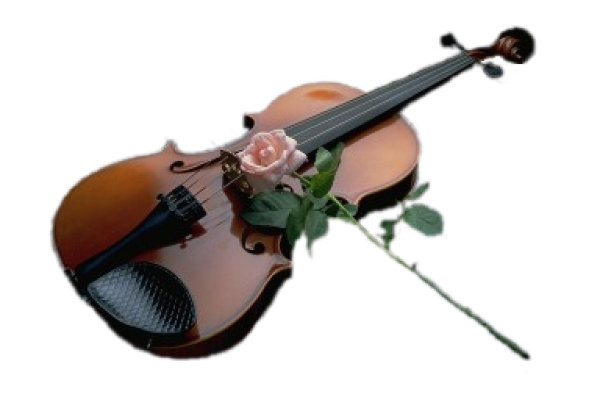 Violin PNG Free Download 11