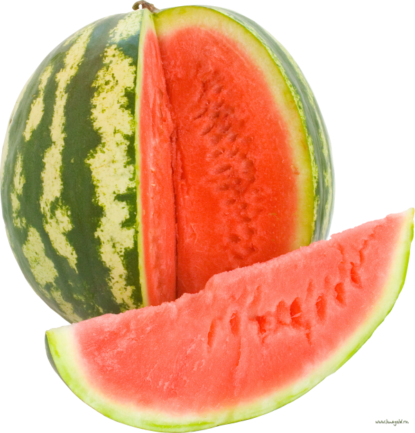 Watermelon PNG Free Download 28