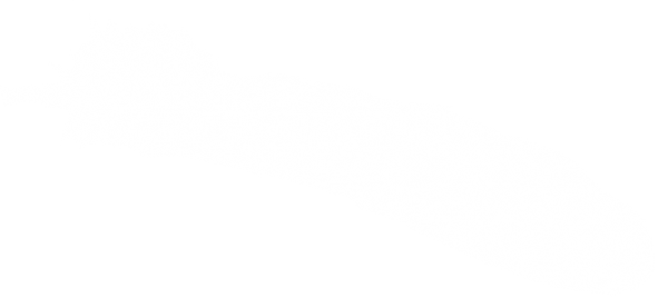 White Feather Png Image Download