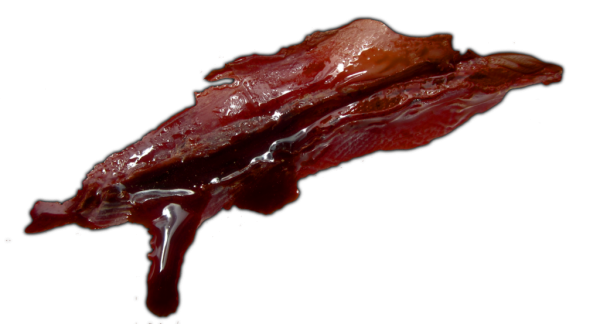 Wound PNG Free Download 8