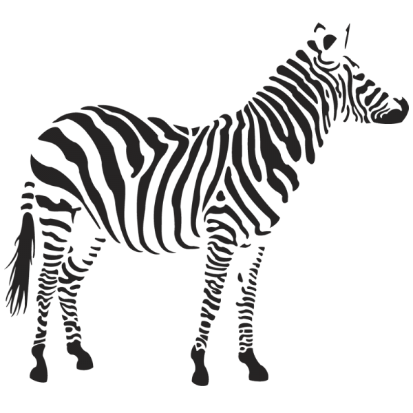 Zebra Standing Png Image
