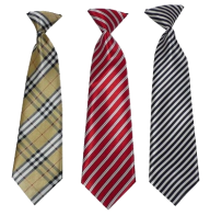 Tie PNG Free Download 16