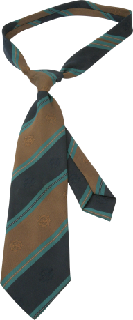 Tie PNG Free Download 9
