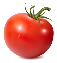 Tomato PNG Free Download 1