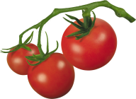 Tomato PNG Free Download 10