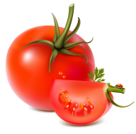 Tomato PNG Free Download 12