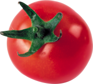 Tomato PNG Free Download 13