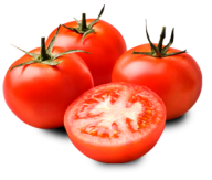 Tomato PNG Free Download 17