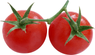 Tomato PNG Free Download 20