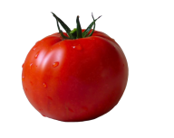 Tomato PNG Free Download 24