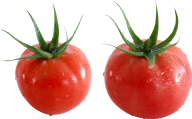 Tomato PNG Free Download 26