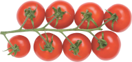 Tomato PNG Free Download 27