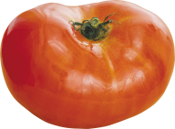 Tomato PNG Free Download 29