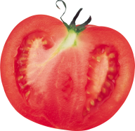 Tomato PNG Free Download 30