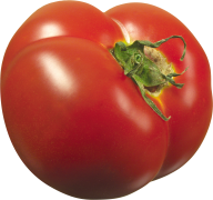 Tomato PNG Free Download 38