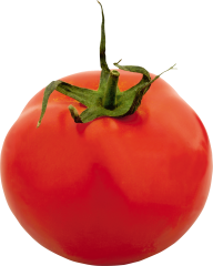 Tomato PNG Free Download 4