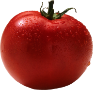Tomato PNG Free Download 45
