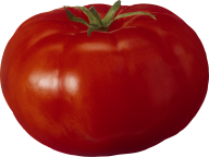 Tomato PNG Free Download 55