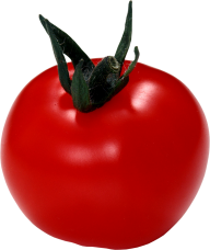 Tomato PNG Free Download 59