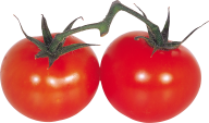 Tomato PNG Free Download 63