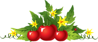 Tomato PNG Free Download 69