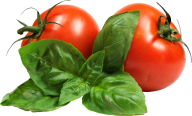 Tomato PNG Free Download 76