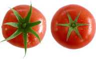 Tomato PNG Free Download 9