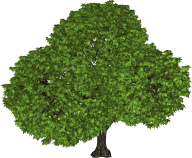 Tree Clipart