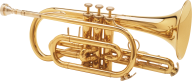 Trumpet PNG Free Download 30